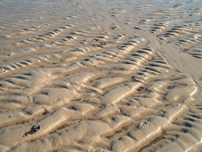Egg Carton Caterpillars